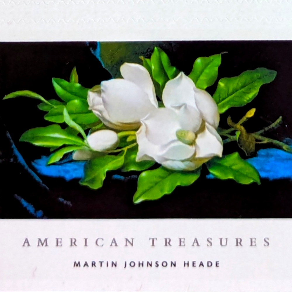 Giant Magnolias Double-Sided Booklet